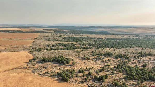 a view of an ocean and beach