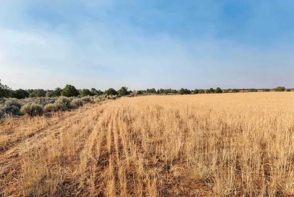 $918,000 | 106 County Road 106, Hesperus, CO 81326