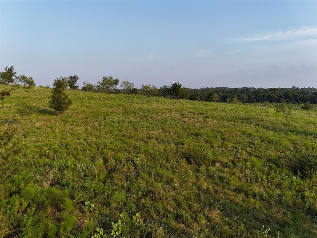 Tbd Lot 2 Tbd Road Ennis, TX 75119 - Photo 17 of 20