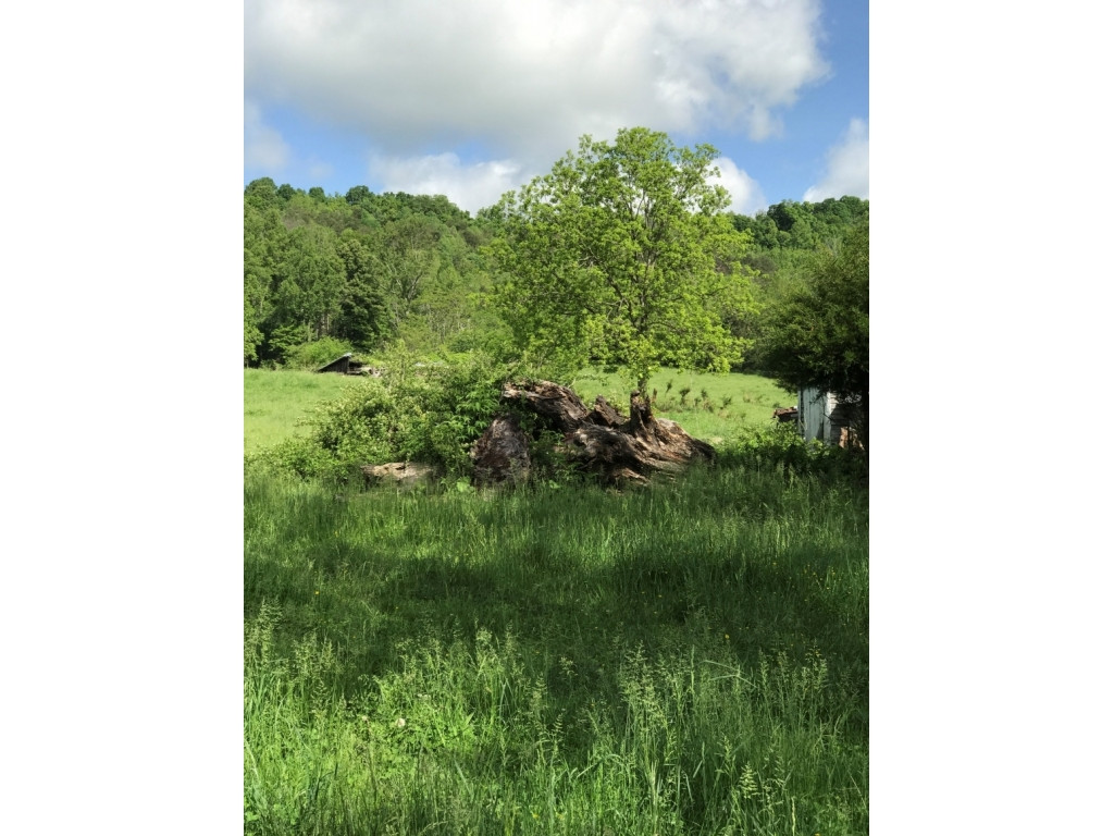 2155 Jockey Road Limestone, TN 37681 - Photo 2 of 9 Photo 2