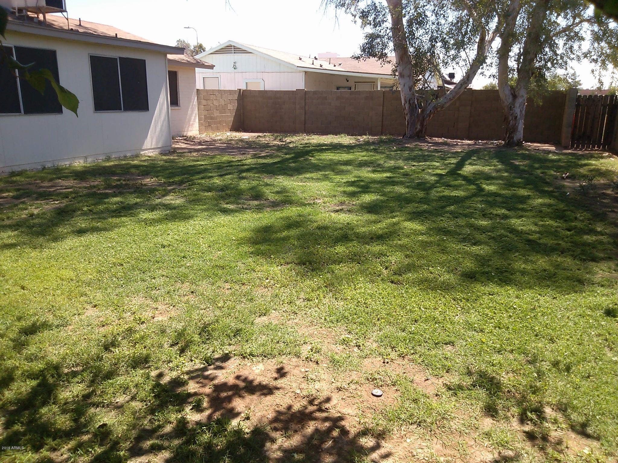 2307 East Butler Street Chandler, AZ 85225 - Photo 4 of 12 2307 Butler rear yard 2013-05-22 10.07 (