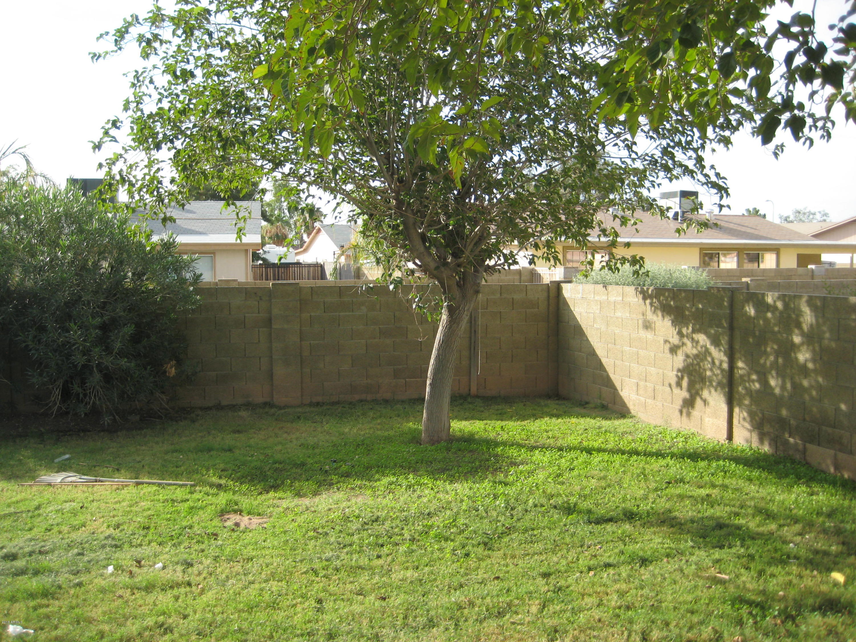 2307 East Butler Street Chandler, AZ 85225 - Photo 5 of 12 IMG_3782