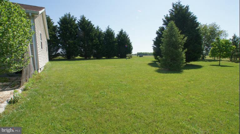 12400 River Road Ridgely, MD 21660 - Photo 12 of 16 Exterior (General)