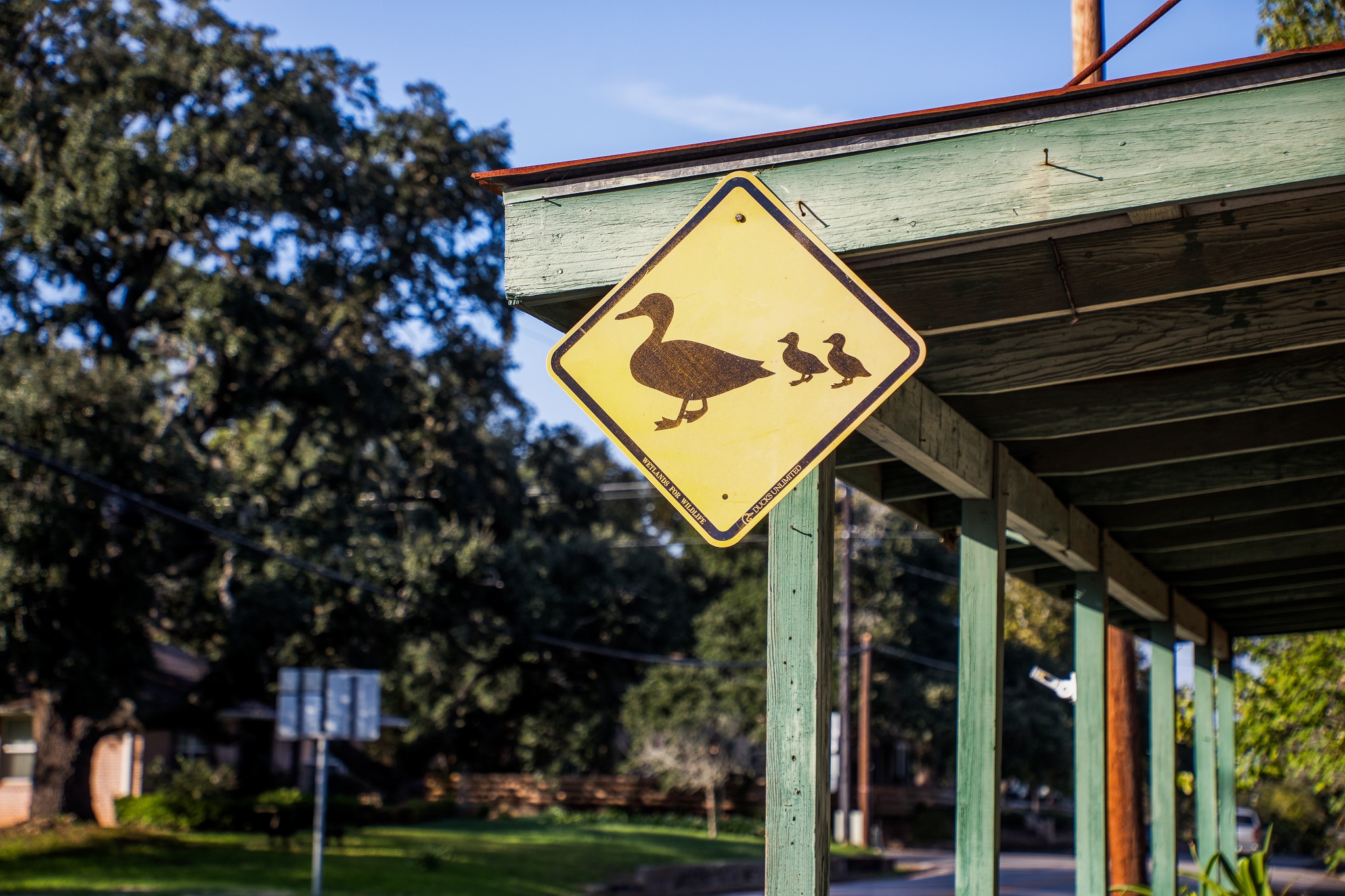 Tbd Tbd Sunny Meadow Drive Chappell Hill, TX 77426 - Photo 25 of 45 a view of a building with a tree