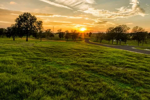 $252,747 | Tbd Tbd Sunny Meadow Drive, Chappell Hill, TX 77426