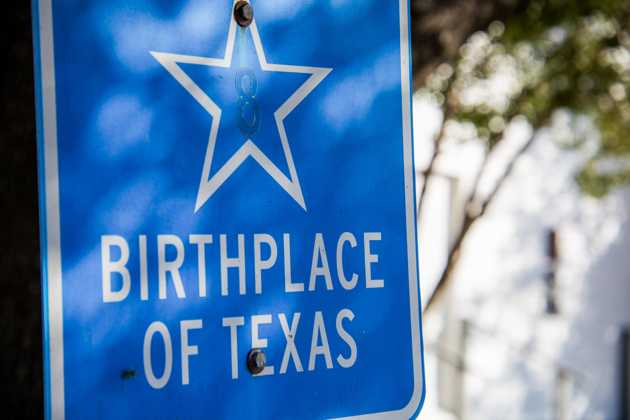 Tbd Tbd Sunny Meadow Drive Chappell Hill, TX 77426 - Photo 4 of 45 Chappell Hill, The birthplace of Texas