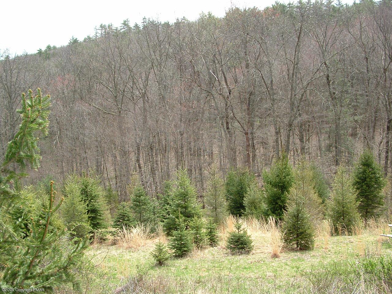 Lot 2 Running Valley Road Stroudsburg, PA 18360 - Photo 3 of 3 a view of a yard with trees in front of it