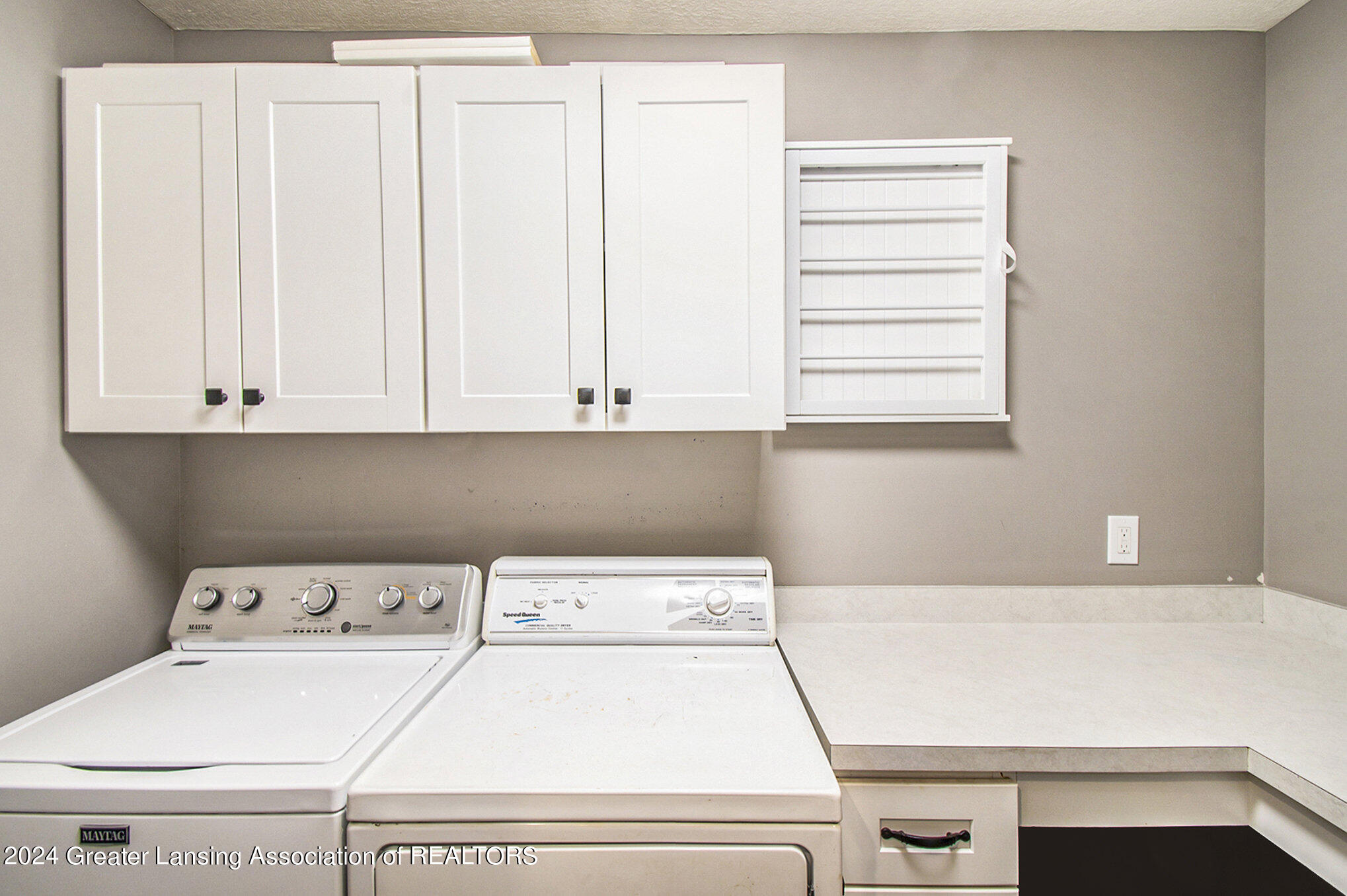 1101 Hawks Ridge Grand Ledge, MI 48837 - Photo 19 of 40 016_ndp2431