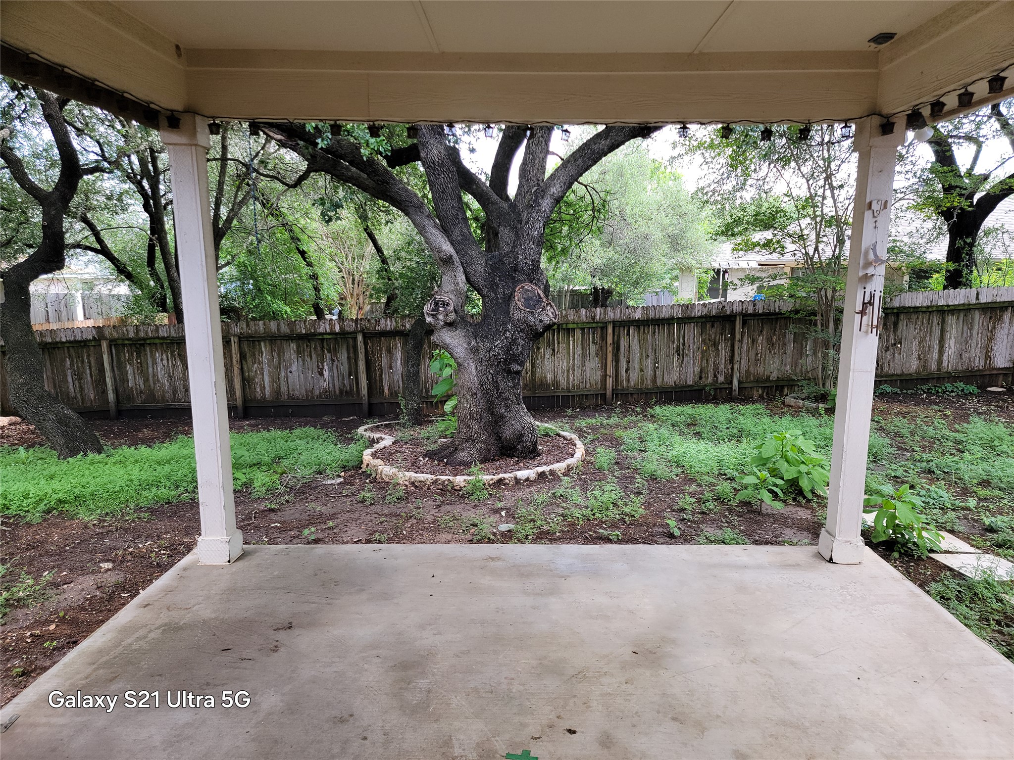 3356 Cantera Way Round Rock, TX 78681 - Photo 21 of 22 a view of backyard with plants and outdoor seating