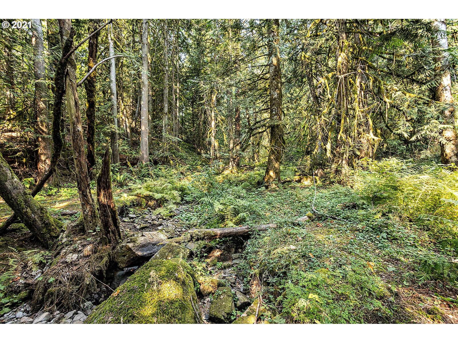 2681 East Loop Road Stevenson, WA 98648 - Photo 13 of 32