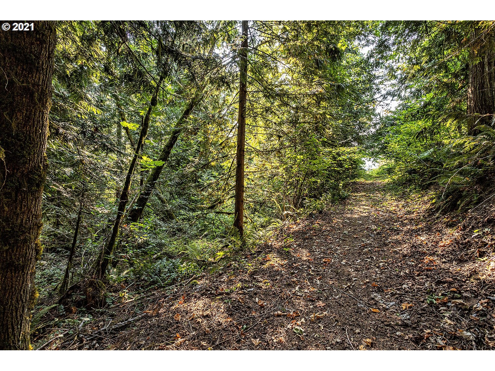 2681 East Loop Road Stevenson, WA 98648 - Photo 14 of 32