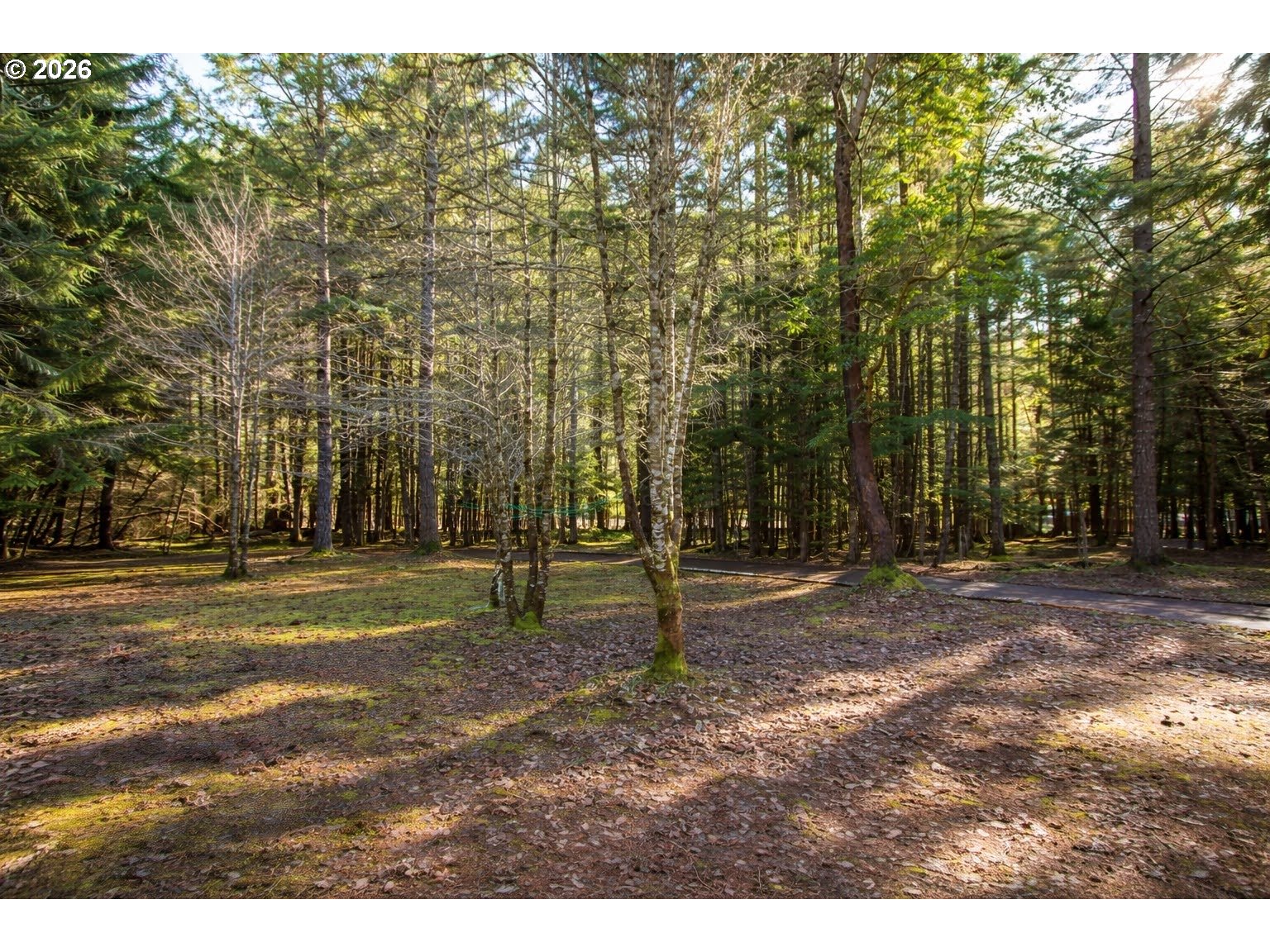 1954 Yeust Road Azalea, OR 97410 - Photo 8 of 19