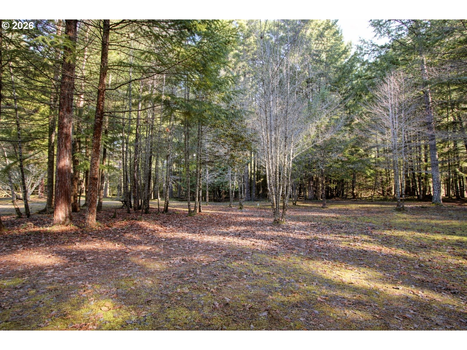 1954 Yeust Road Azalea, OR 97410 - Photo 9 of 19