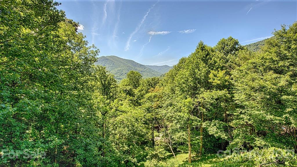 49 Sunrise Ridge Maggie Valley, NC 28751 - Photo 2 of 24 a view of a yard