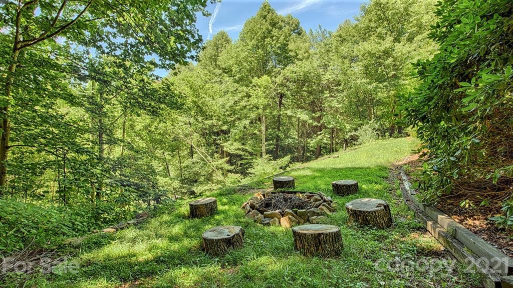 49 Sunrise Ridge Maggie Valley, NC 28751 - Photo 20 of 24 a view of a garden with plants