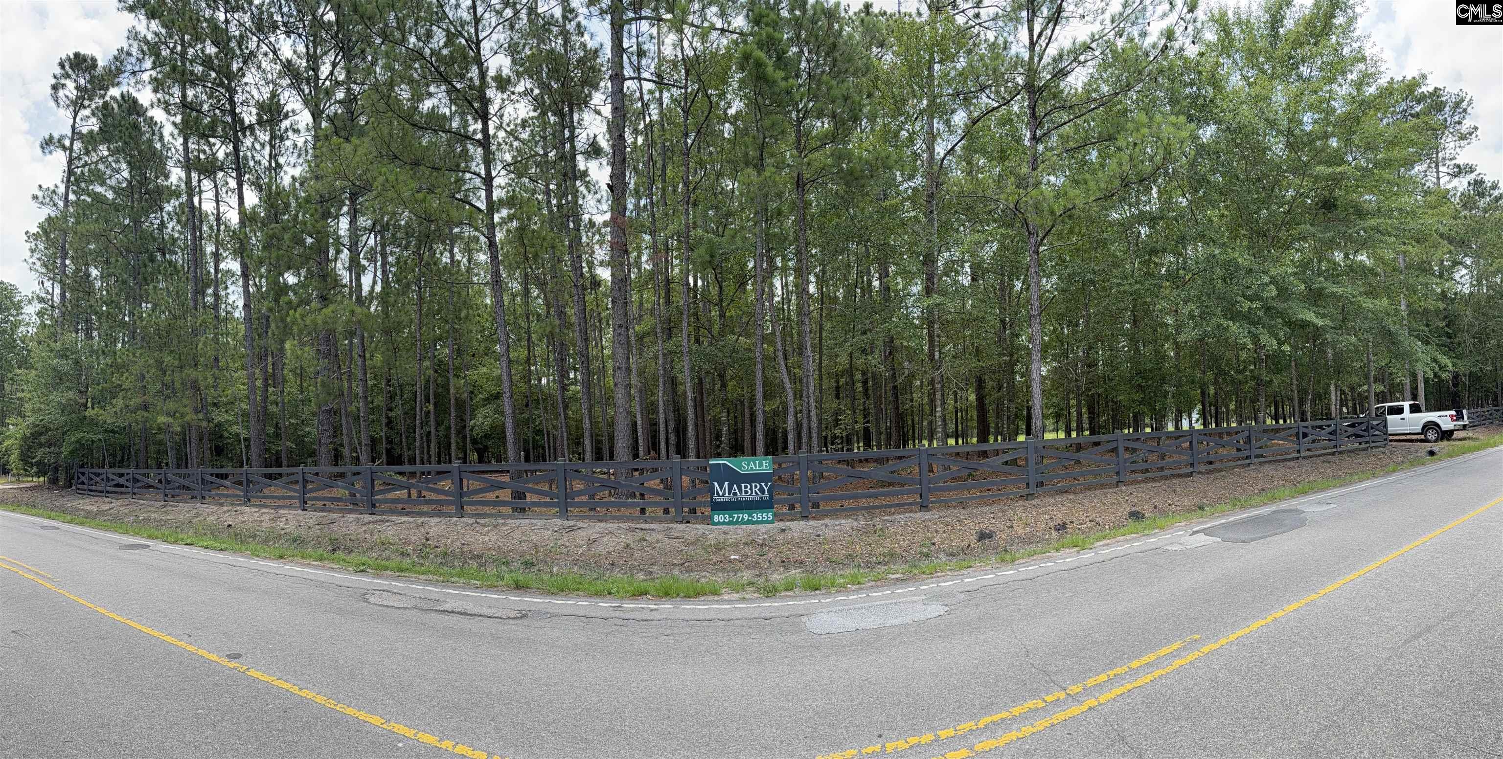 812 Sandfield Road Blythewood, SC 29016 - Photo 20 of 25
