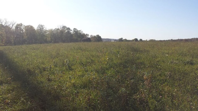 0 South Russell Road Oregon, IL 61061 - Photo 5 of 12