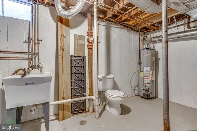 a view of backyard with tree