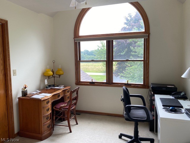 6861 South Raccoon Road Canfield, OH 44406 - Photo 30 of 41 Bedroom three currently used as an office