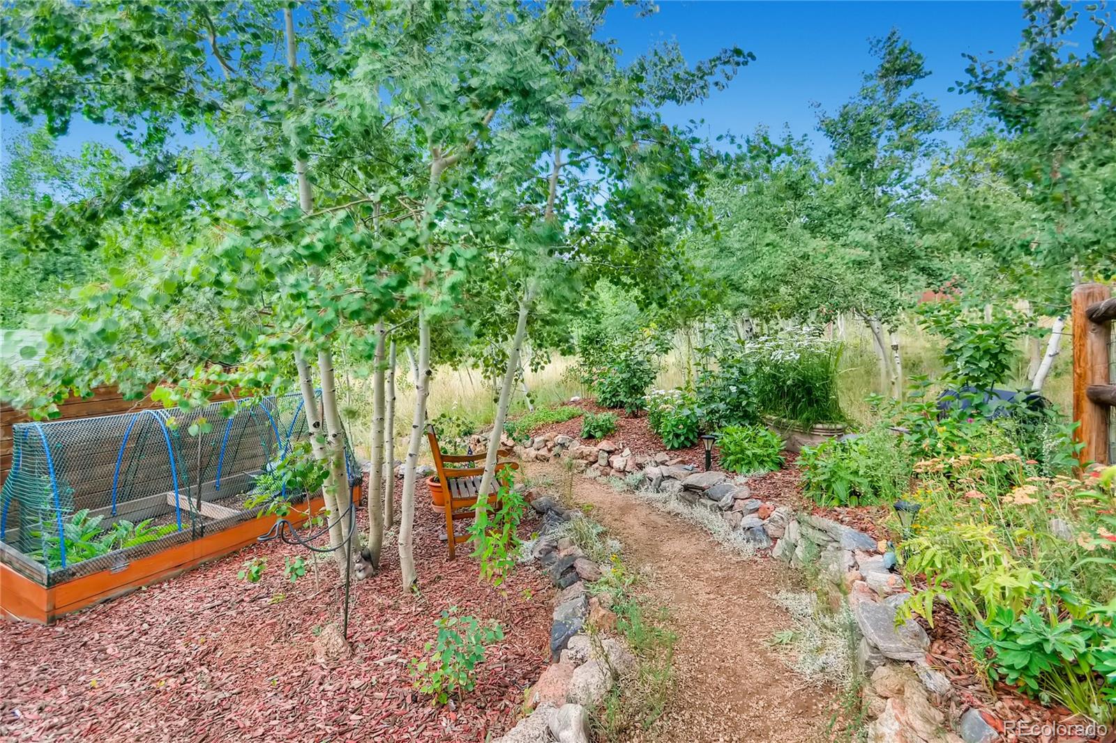 109 Royal Ridge Drive Bailey, CO 80421 - Photo 9 of 39 a backyard of a house with lots of green space