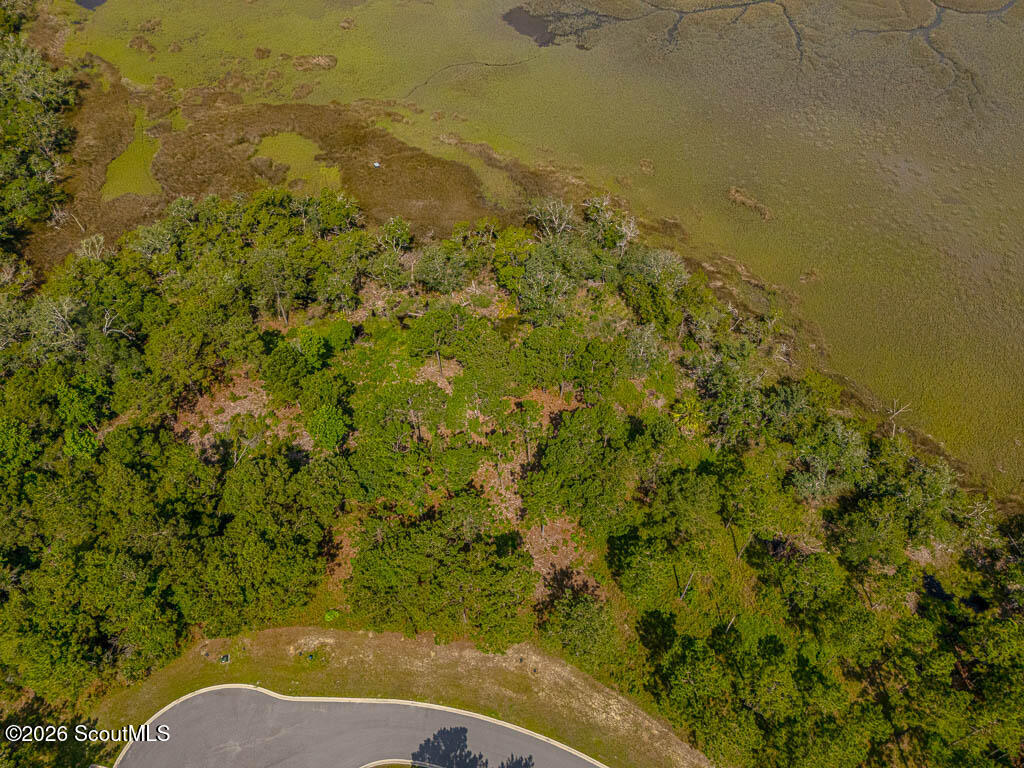 Lot 98 Wards Way Waverly, GA 31565 - Photo 8 of 20