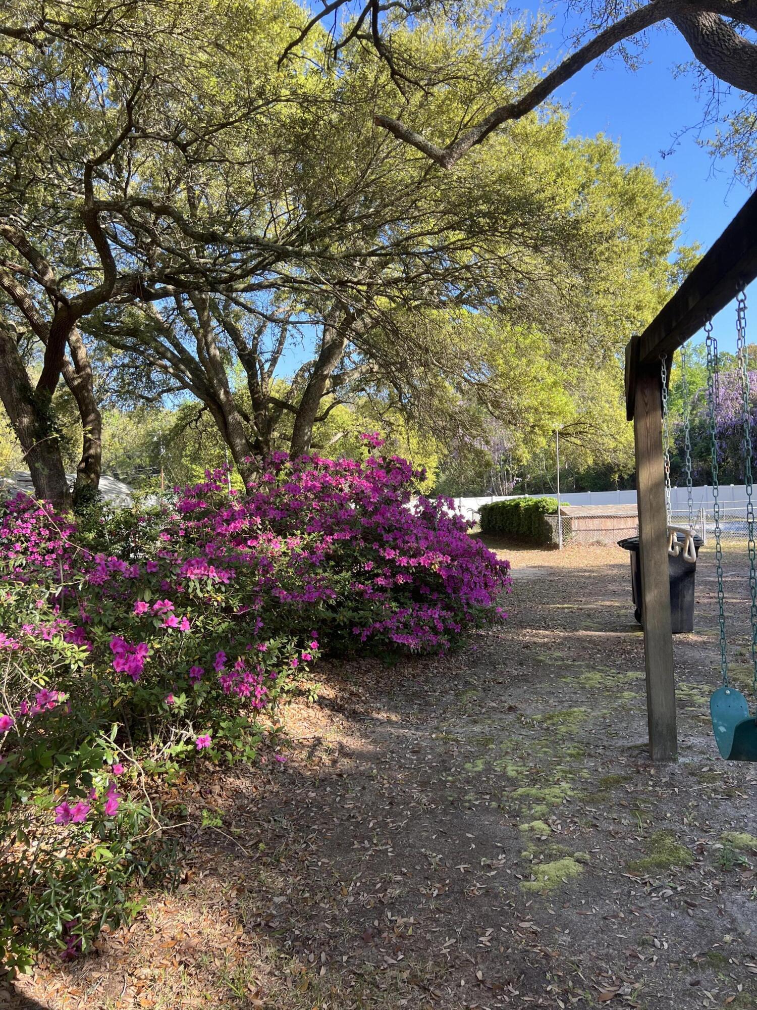 204 Gervais Street Walterboro, SC 29488 - Photo 11 of 54 IMG_0443