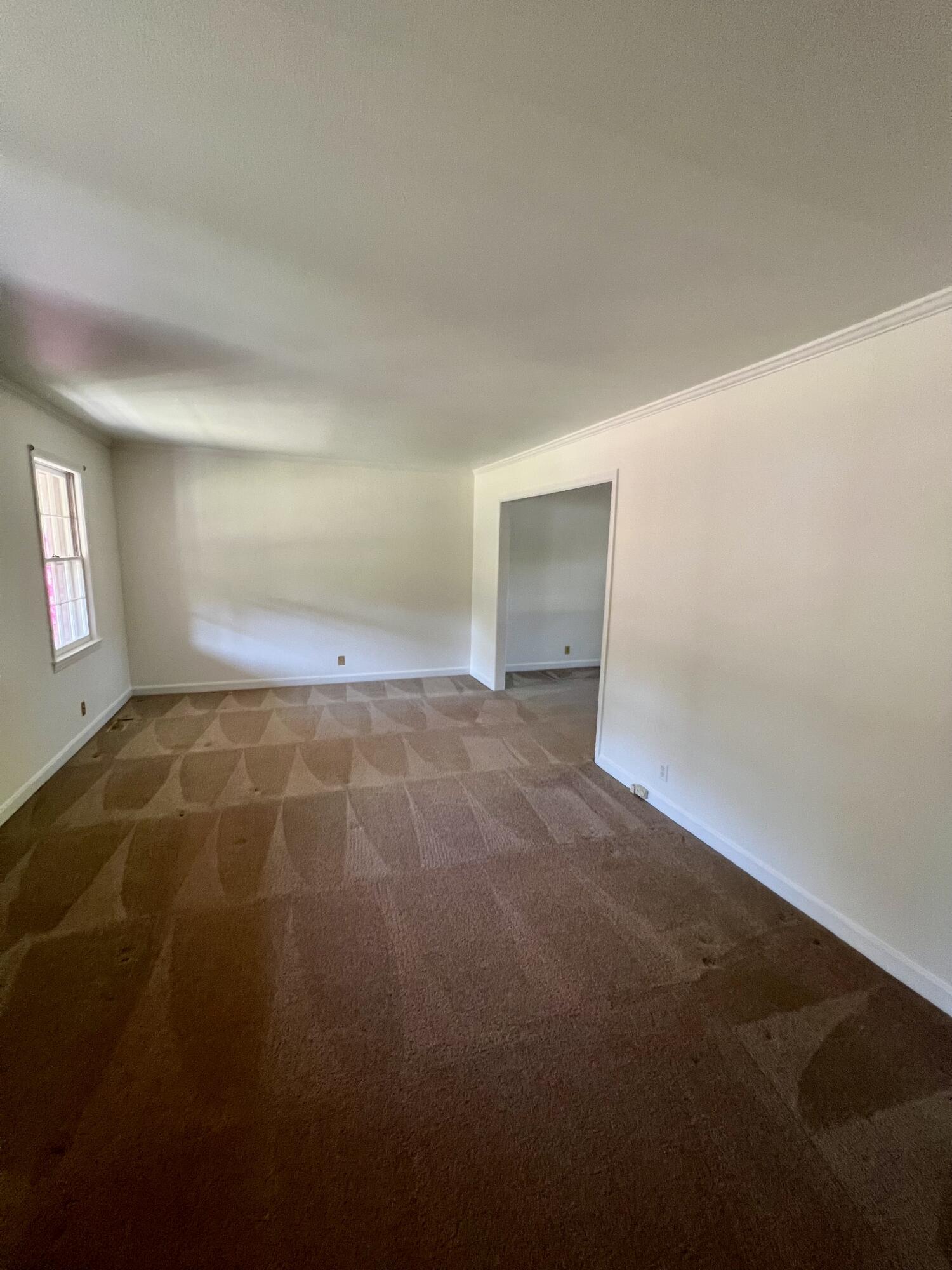 204 Gervais Street Walterboro, SC 29488 - Photo 15 of 54 IMG_0474