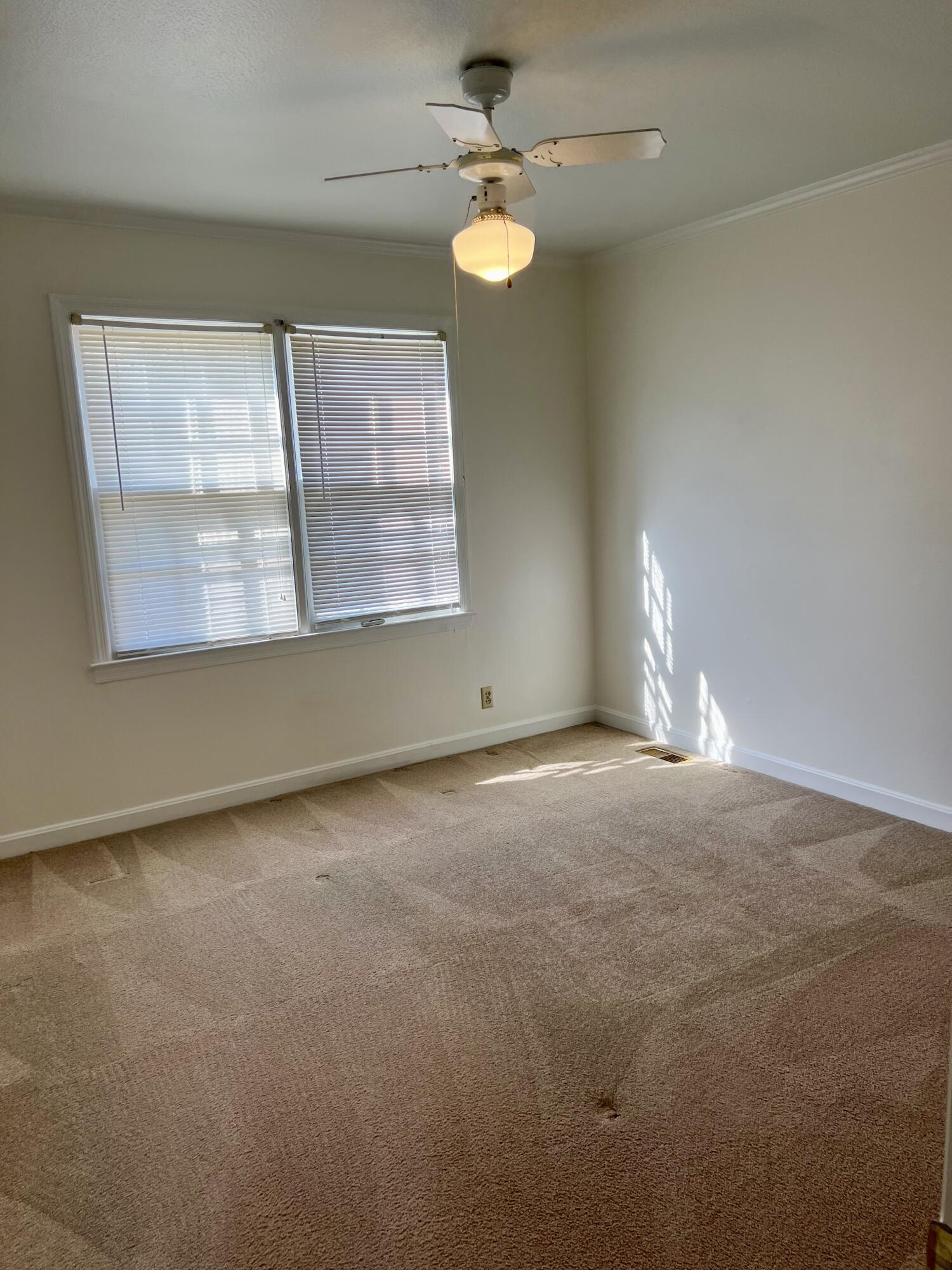 204 Gervais Street Walterboro, SC 29488 - Photo 36 of 54 IMG_0503