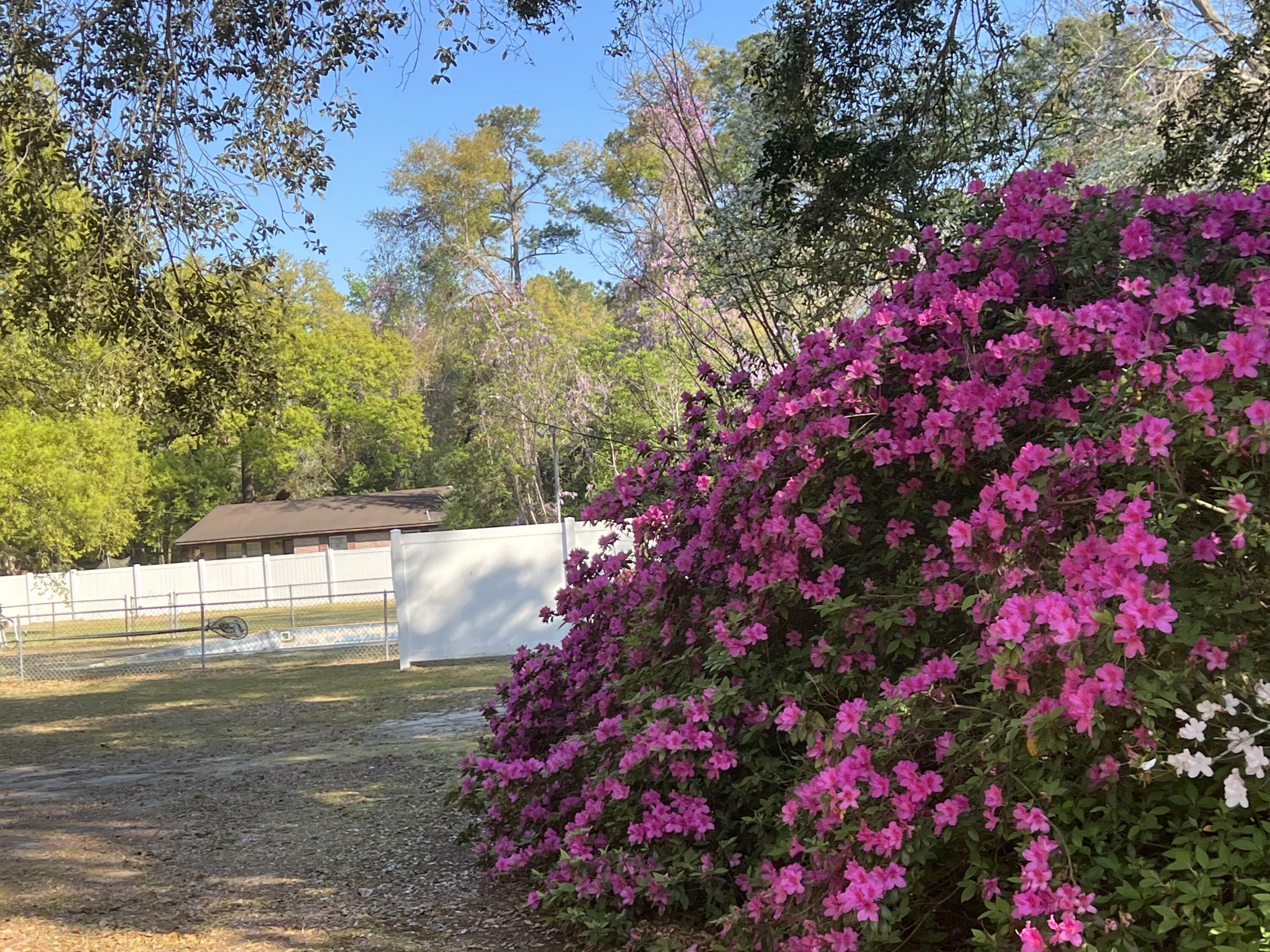 204 Gervais Street Walterboro, SC 29488 - Photo 49 of 54 IMG_0452