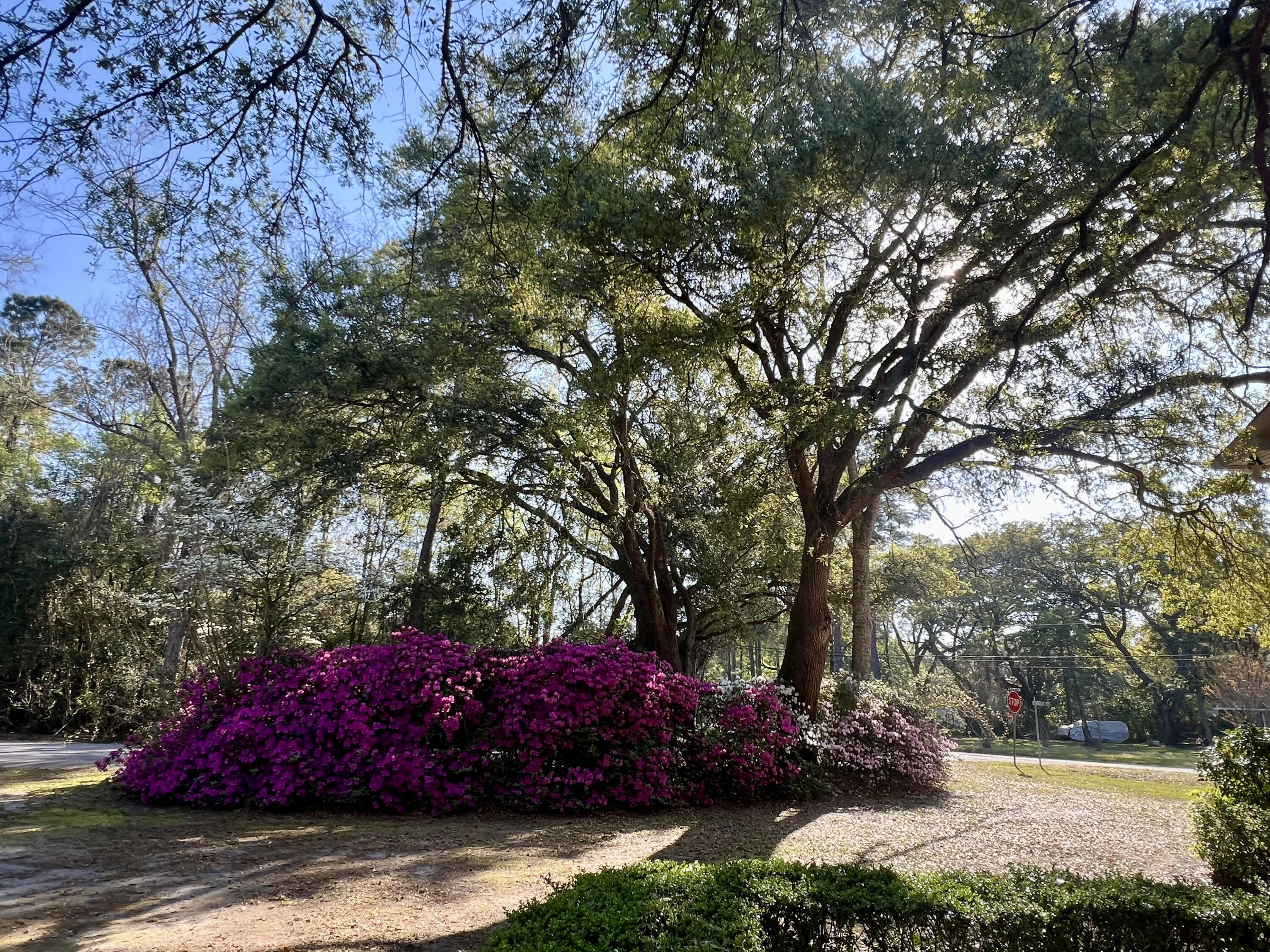 204 Gervais Street Walterboro, SC 29488 - Photo 52 of 54 IMG_0445
