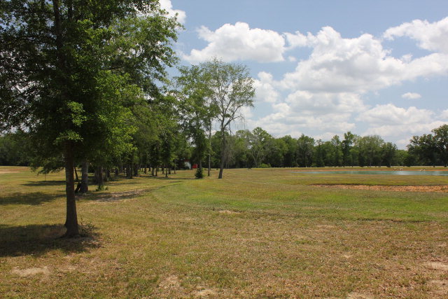 B Antioch Church Road Ashford, AL 36312 - Photo 1 of 1