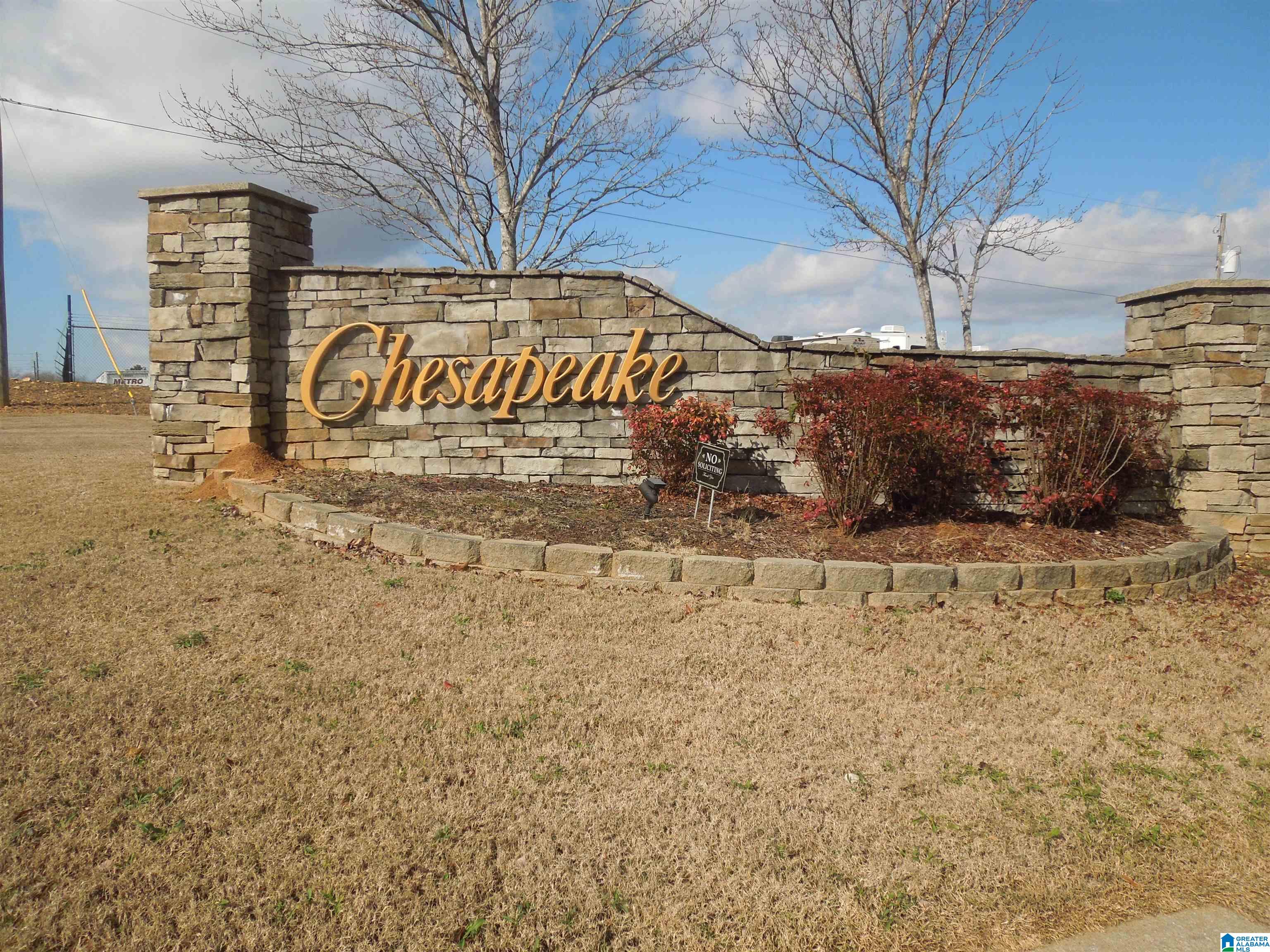 158 Grasonville Road Alabaster, AL 35007 - Photo 2 of 56