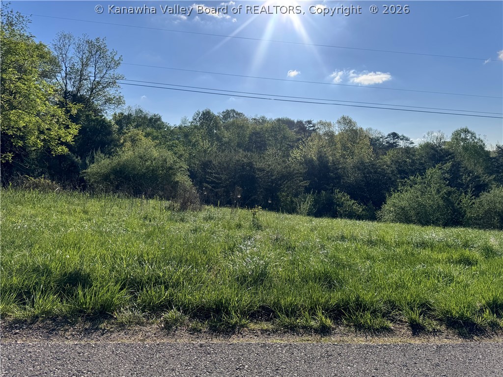 0 Alexes Lane Ripley, WV 25271 - Photo 1 of 8 Gallery Image 1