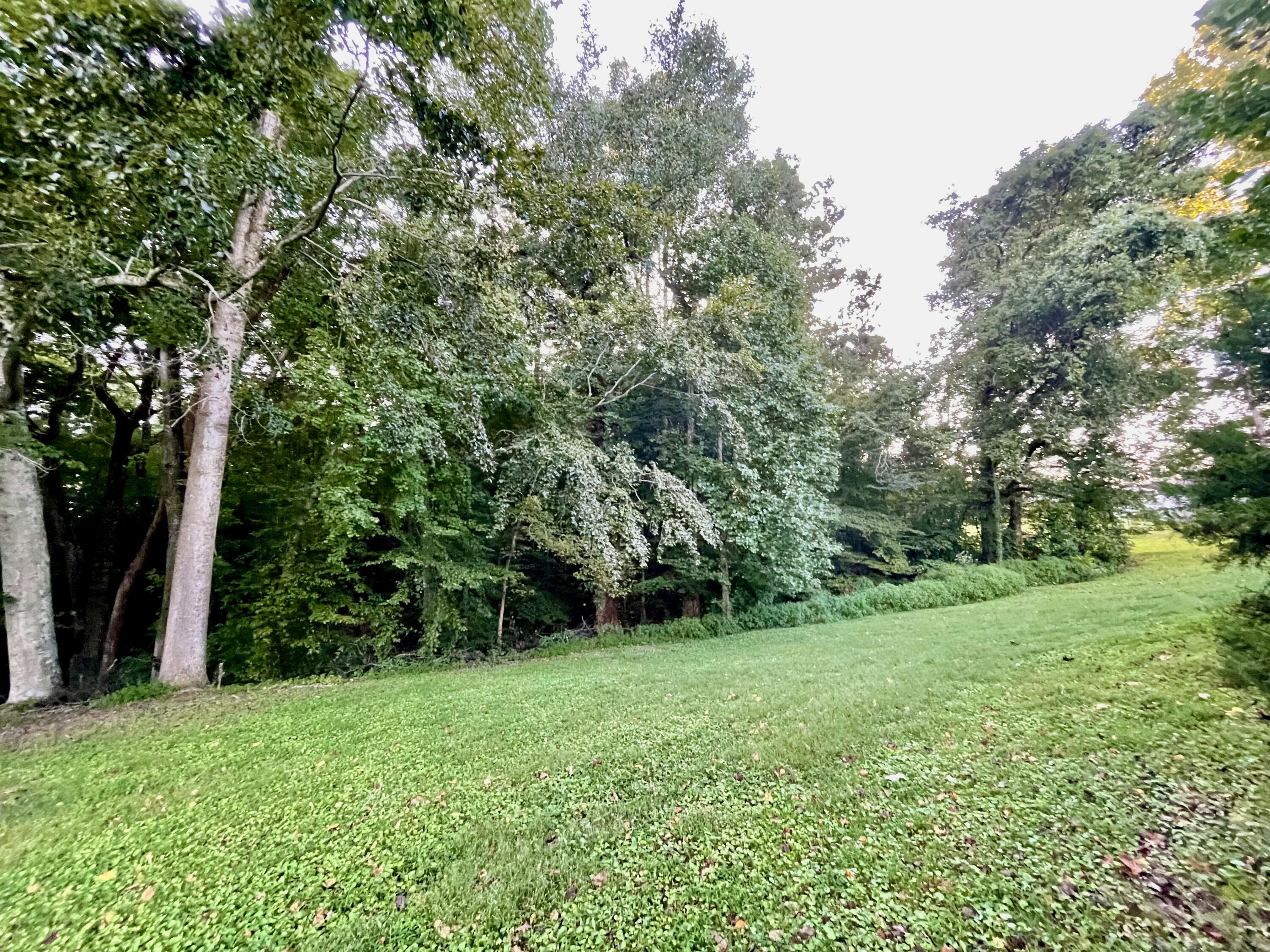 129 Sand Hill Church Road Irvine, KY 40336 - Photo 56 of 58 F46010AE-AC0B-4588-A09B-174C9146FCAC_1_2