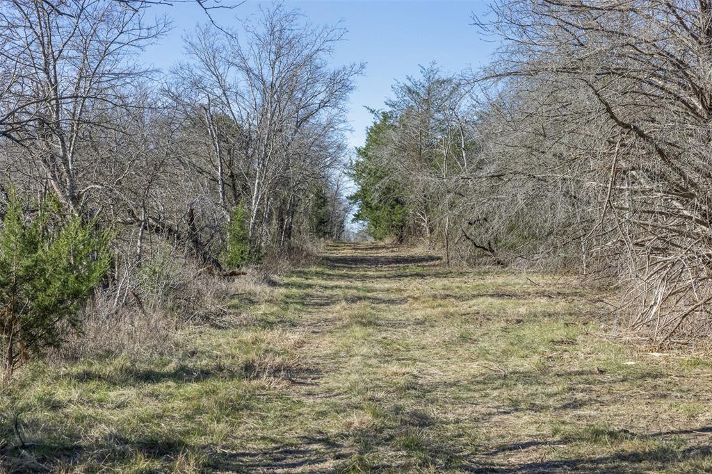 3 County Road 386 Groesbeck, TX 76642 - Photo 11 of 16 a view of outdoor space and tree