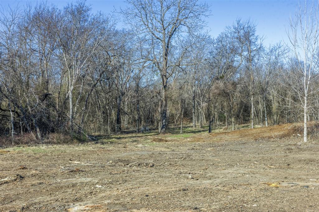 3 County Road 386 Groesbeck, TX 76642 - Photo 4 of 16 a view of outdoor space with trees