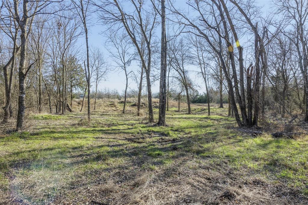 3 County Road 386 Groesbeck, TX 76642 - Photo 5 of 16 a view of yard with trees