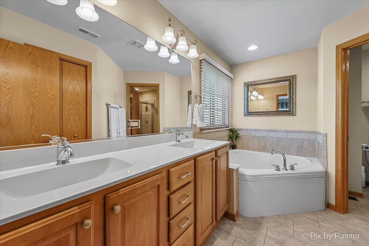 3720 Cypress Drive Spring Grove, IL 60071 - Photo 19 of 55 a bathroom with a sink a large mirror and a bathtub