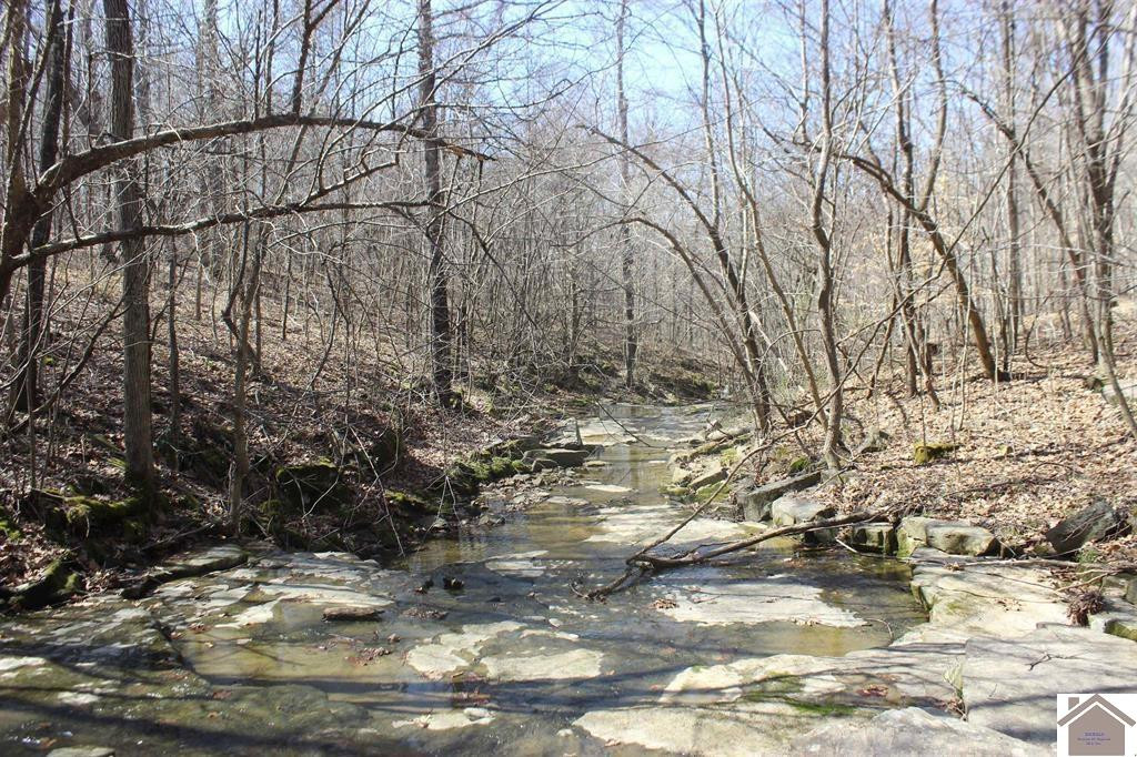 0 River Road Smithland, KY 42081 - Photo 10 of 13 Photo 10