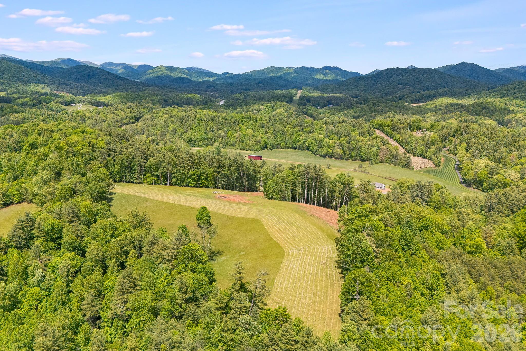 Tbd California Creek Road Mars Hill, NC 28754 - Photo 24 of 28