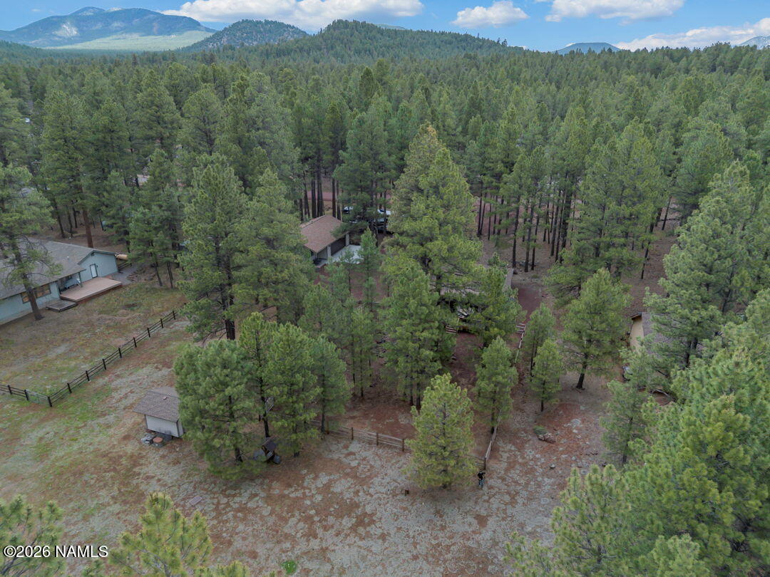 13050 Fallow Deer Road Parks, AZ 86018 - Photo 42 of 44 42-web-or-mls-Media.TimberCreekImagery-4