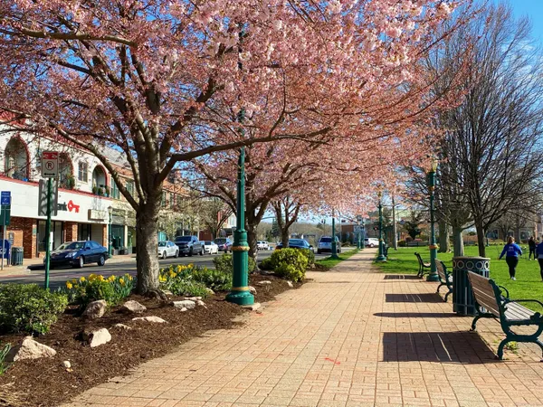 a front view of a house with a porch
