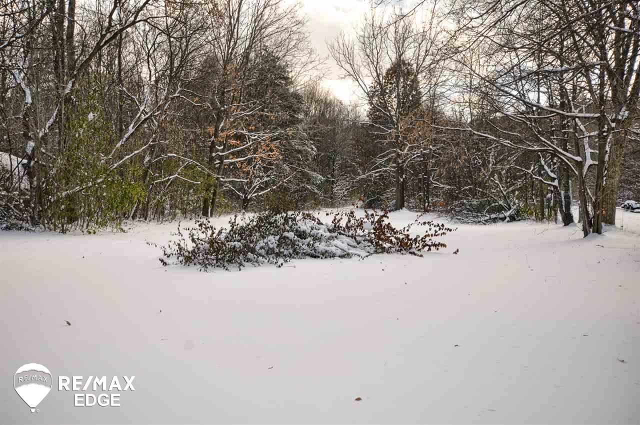 2115 West Frances Road Mount Morris, MI 48458 - Photo 4 of 23 50000007-3.JPG