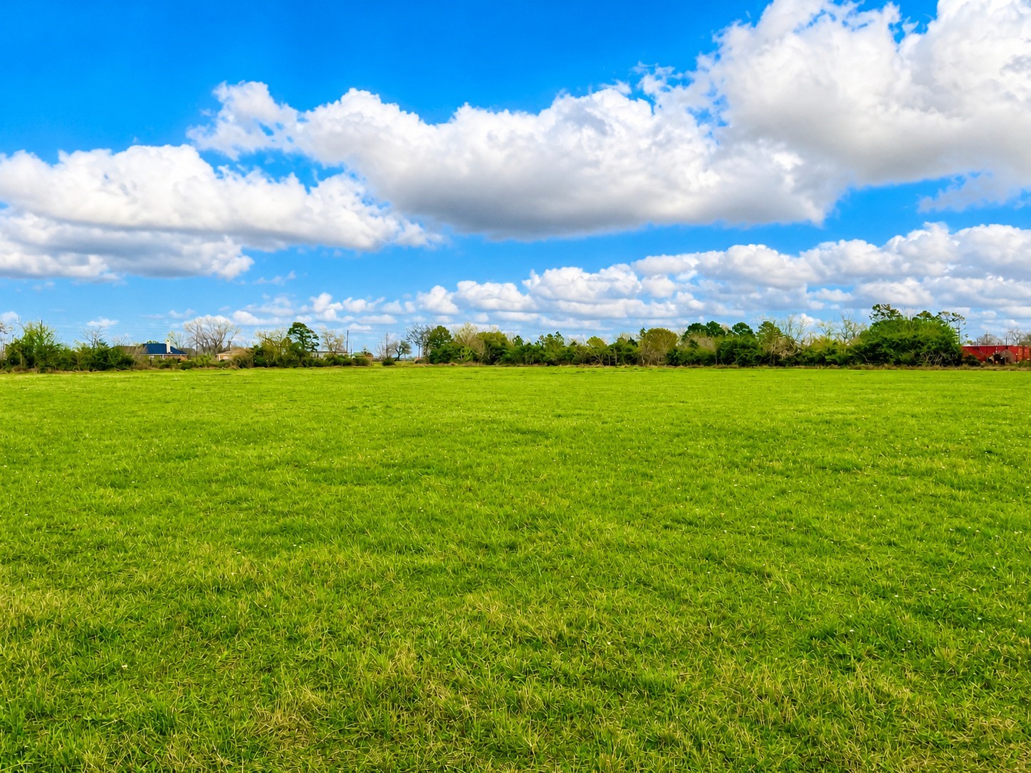 1161 West FM 1161 Road Wharton, TX 77488 - Photo 14 of 14