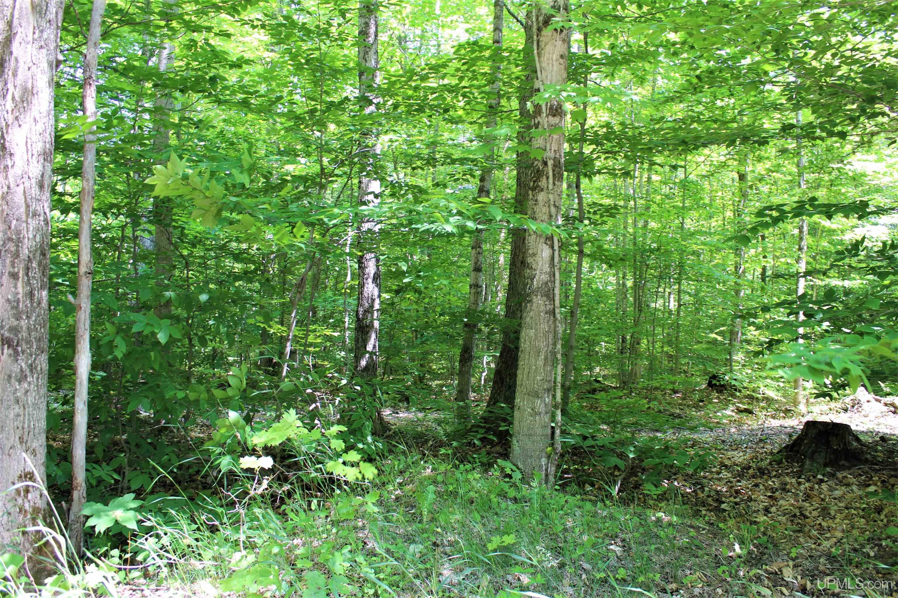 On Gage Road Munising, MI 49862 - Photo 15 of 17