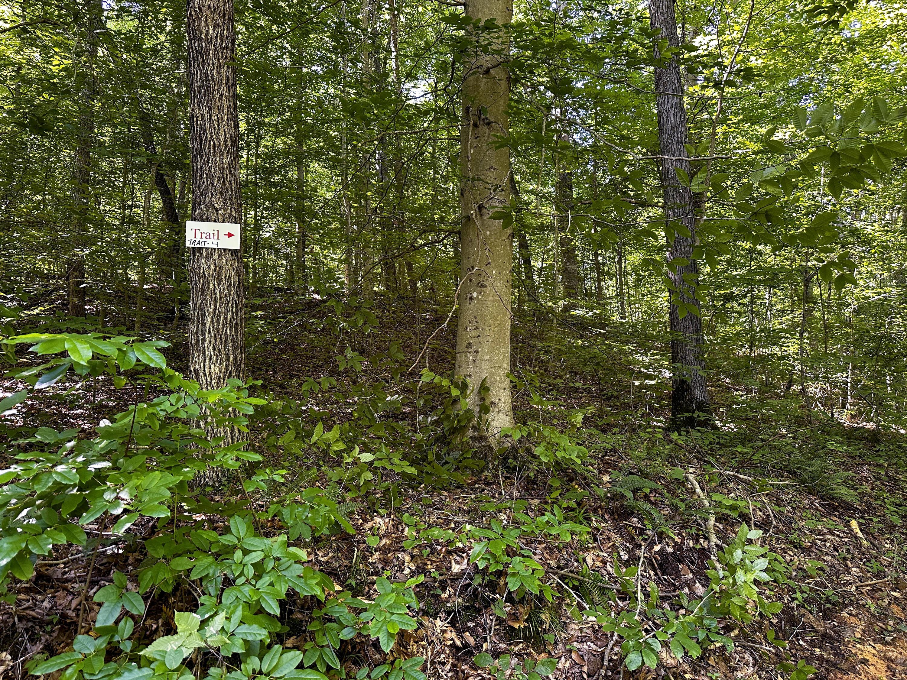 1725 Hull Road, Unit TRACT 4 WOODS WAYNE FOREST) Patriot, OH 45658 - Photo 31 of 45 20240607_145151562_iOS