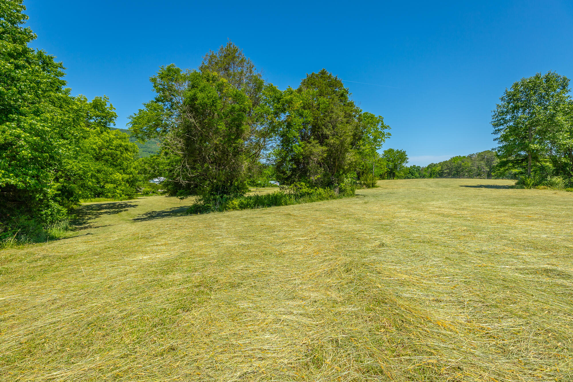 1655 West Cove Road Chickamauga, GA 30707 - Photo 17 of 62 1655 W Cove Road HD-68