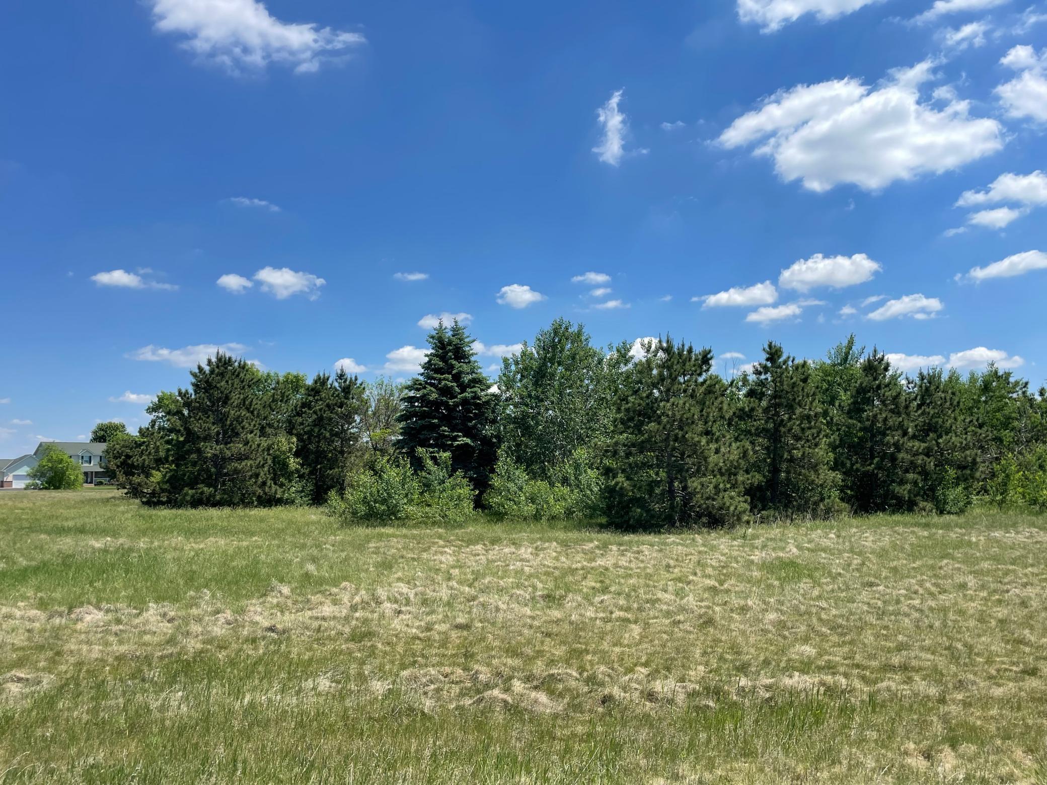 Tbd Turtle Creek Circle Cold Spring, MN 56320 - Photo 2 of 16