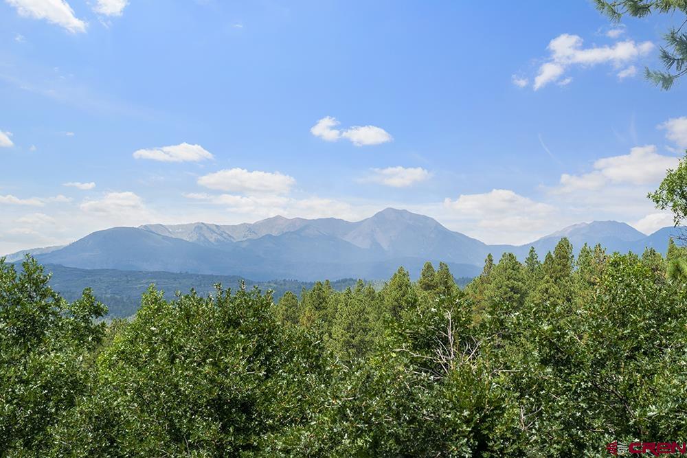 154 N Road Durango, CO 81303 - Photo 2 of 35 a view of a big yard with a large tree