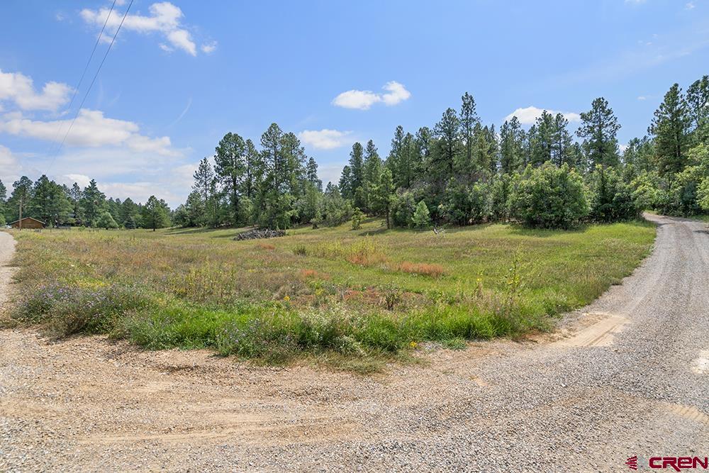 154 N Road Durango, CO 81303 - Photo 33 of 35 a view of a field with trees in background
